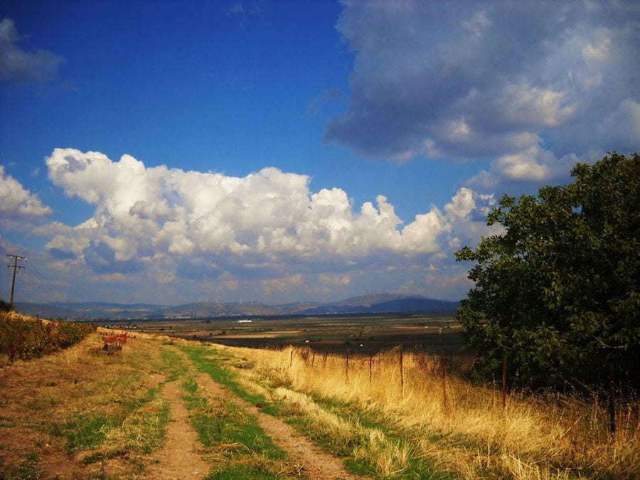 nature and blue sky at Bio Goupios